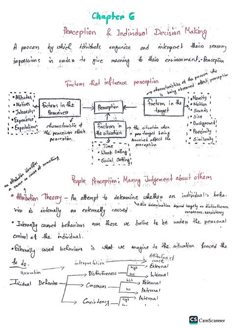 CB NOTES CH 6 Perception .
